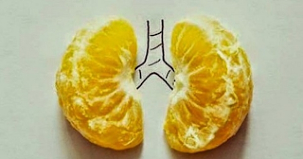 Μανταρίνι – το μοναδικό φρούτο που αποβάλλει από τον οργανισμό τα βαρέα μέταλλα 1