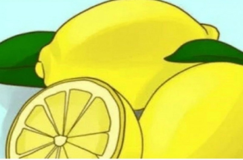 Κανέλα και λεμόνι: ανακαλύψτε μια συγκλονιστική θεραπεία 13