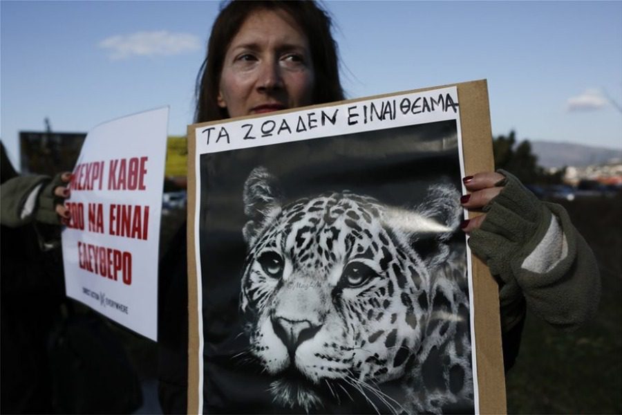 Αττικό Ζωολογικό Πάρκο: Ένταση και απόπειρα εισβολής συγκεντρωμένων 1