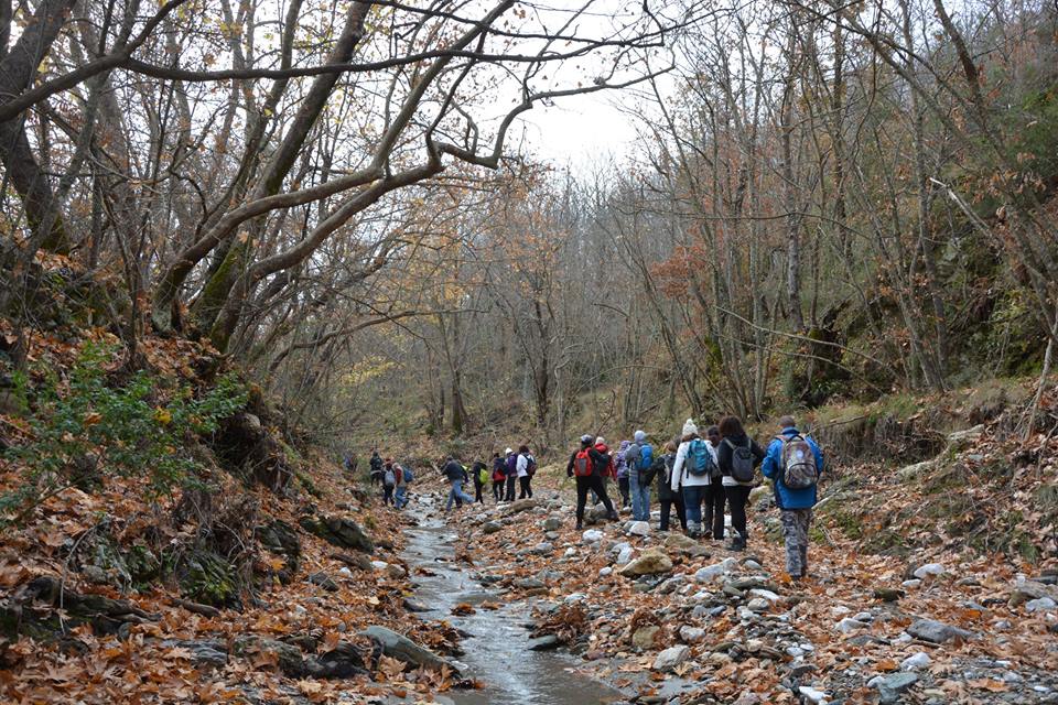 Οι φυσιολάτρες του Ευκλή εξερεύνησαν τον Πάρνωνα και τα Άνω Δολιανά. 14