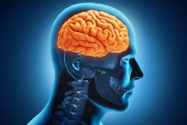 Ο ανθρώπινος εγκέφαλος είναι ενεργός για ώρες μετά τον θάνατο 1
