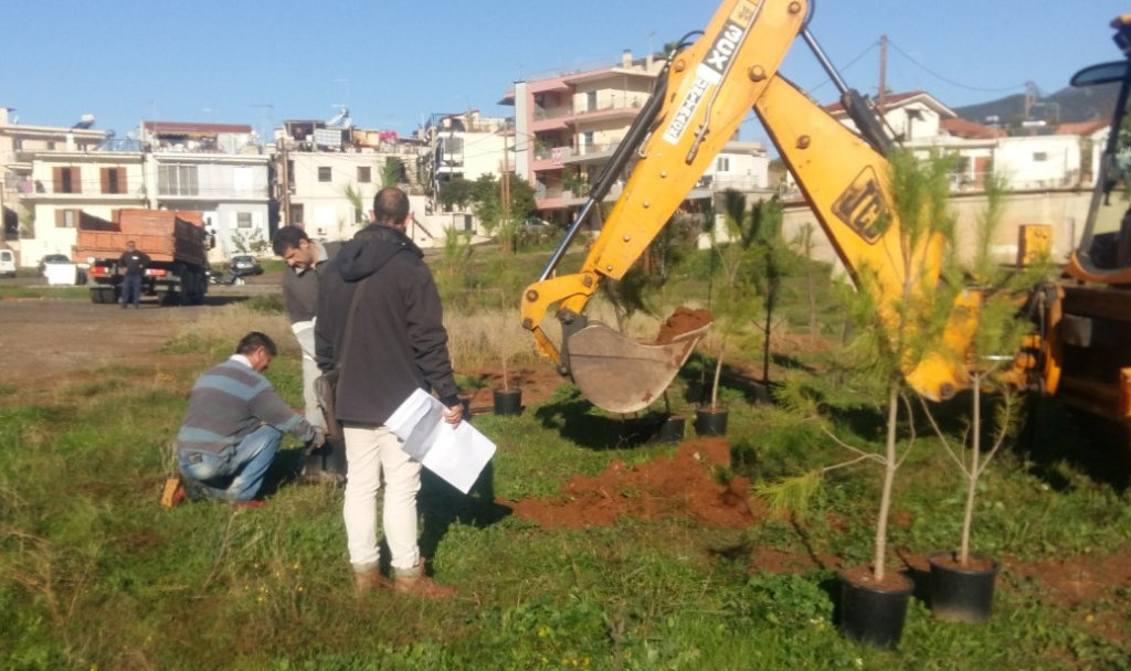 Δενδροφύτευση από τον Δήμο Καλαμάτας στο Φραγκοπήγαδο 8