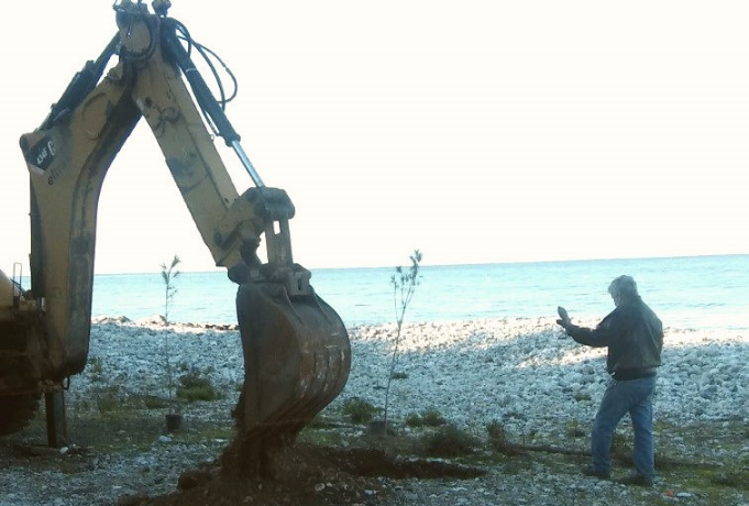 Φυτεύσεις δενδρυλλίων κουκουναριάς και πεύκου στη Μικρή Μαντίνεια. 6