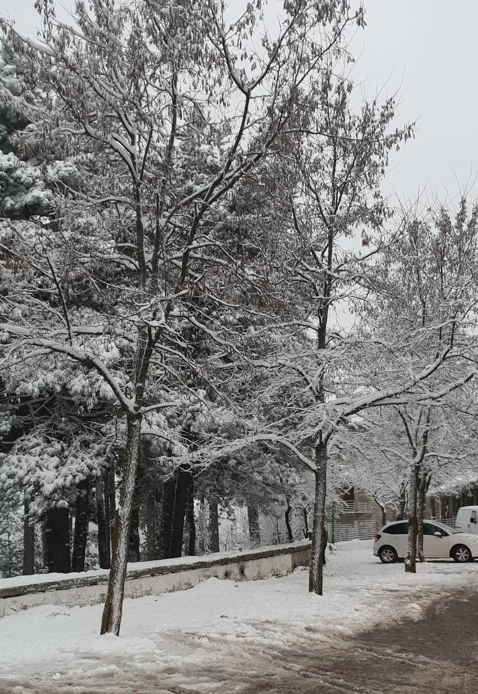 Χιόνια και στην Καλαμάτα 16