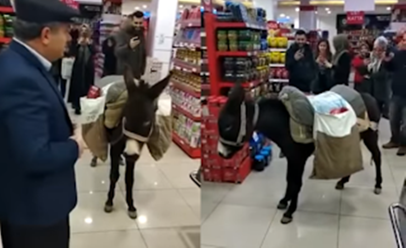 Πήγε στο σούπερ μάρκετ με... γαιδούρι για να μην πληρώσει τις πλαστικές σακούλες (Video) 1