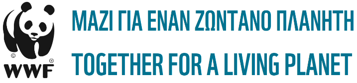 Ξεκινάει στη Μεσσηνία το μεγαλύτερο διεθνές συνέδριο για τη προστασία των θαλάσσιων θηλαστικών ξεκινάει στη Μεσσηνία 4