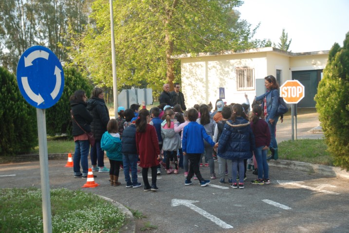 Πρωτάκια στο Πάρκο Κυκλοφοριακής Αγωγής του Δήμου Μεσσήνης 54