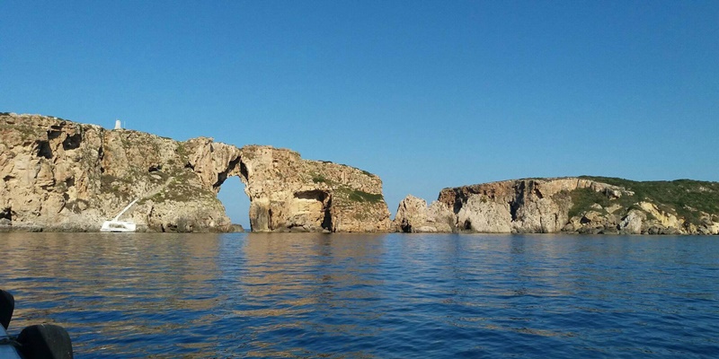 Τα ζώδια σήμερα Δευτέρα 22 Ιουλίου 1