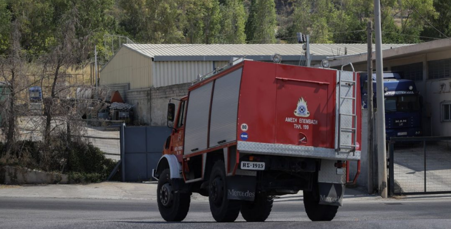 Υπό μερικό ελέγχο η φωτιά στον Ταΰγετο 1