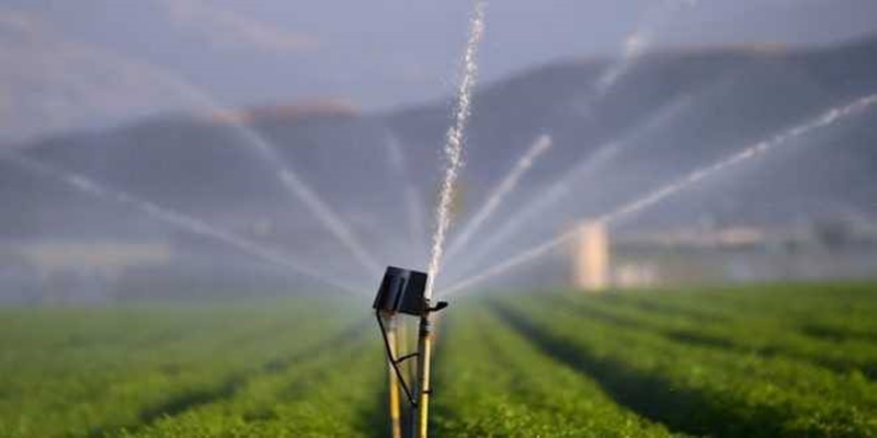 ΥπΑΑΤ: 805.000 € για τη θωράκιση του φυτικού κεφαλαίου της χώρας 11