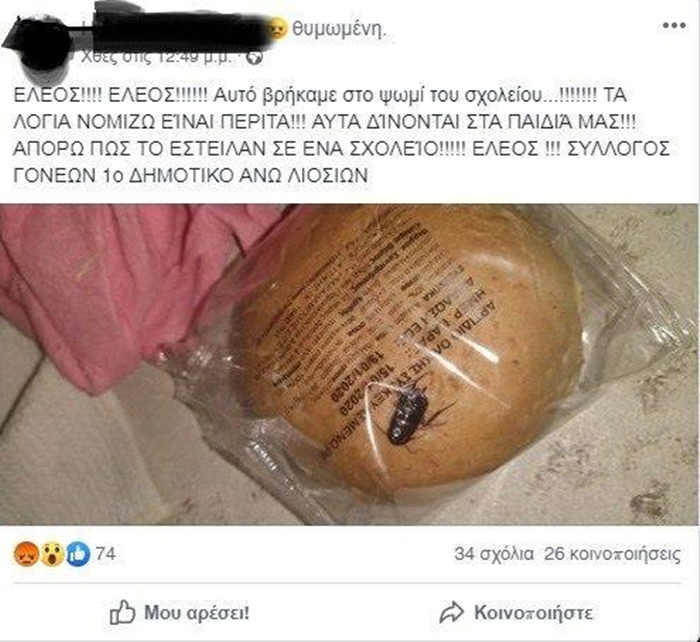 Έκτακτοι υγειονομικοί έλεγχοι με αφορμή την κατσαρίδα σε ψωμί μαθητή 4