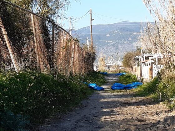 Ερωτήσεις Χριστόπουλου στο ΔΣ για κατάσταση κάδων και προσβάσεις στη δυτική παραλία 34