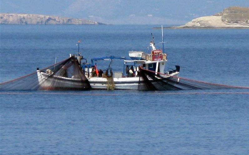 Πρόσθετα μέτρα στήριξης σε αλιείς και υδατοκαλλιέργεια 1