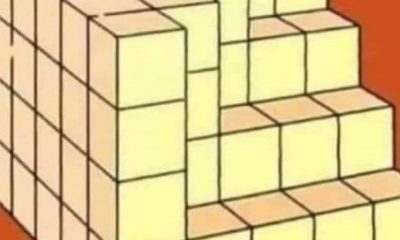 Quiz : Πόσα τούβλα λείπουν από τον κύβο; 11
