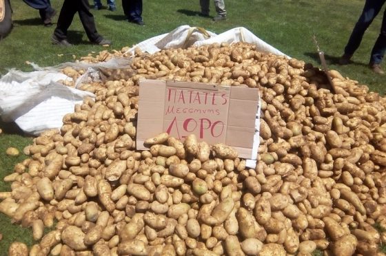 Οι πατατοπαραγωγοί διαμαρτύρονται και οργανώνουν διανομή δωρεάν πατάτας στη Μεσσήνη