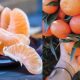Μανταρίνι: Mειώνει την πιθανότητα καρδιοπάθειας, εγκεφαλικού, διαβήτη, καρκίνου και μας προστατεύει και από κρυολογήματα 2