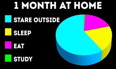 Τι θα συμβεί εάν μείνετε σπίτι για έναν μήνα (video) 22
