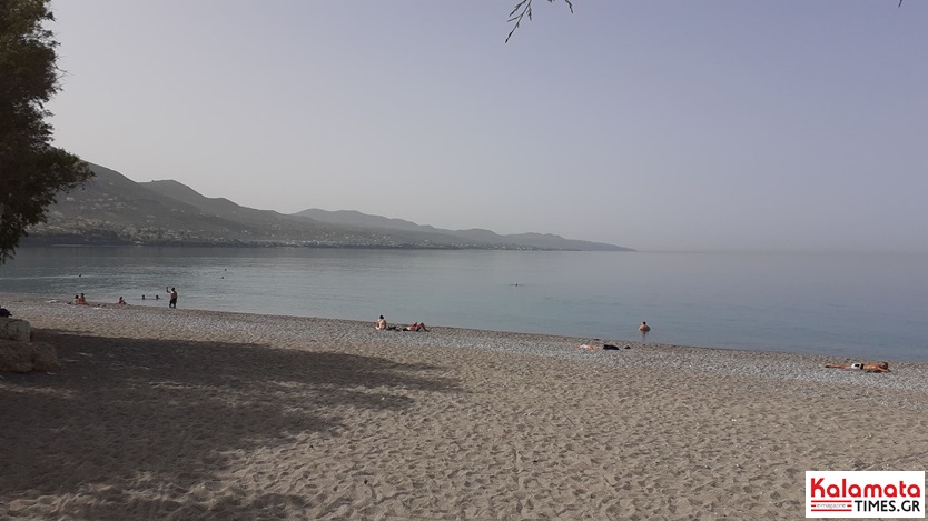 Τρόμος στην παραλία της Καλαμάτας, σκυλόψαρο στα ρηχά αναστάτωσε τους λουόμενους 3