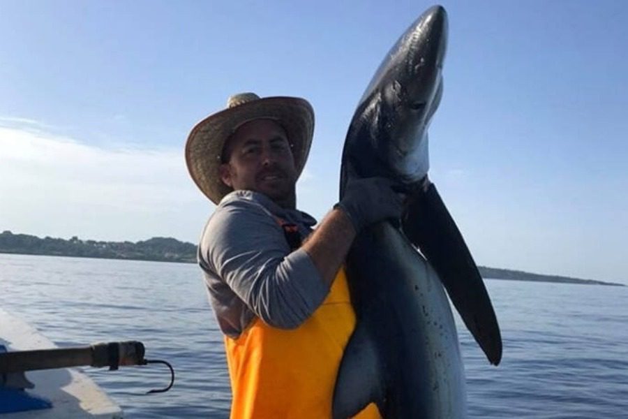 Ψαράς στον Πύργο «έβγαλε» δίμετρο μπλε καρχαρία 48 κιλών 1