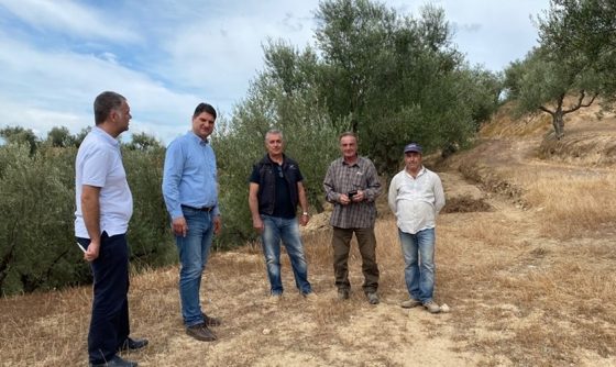 Ο Αθανασόπουλος σε χωριά της Μεσσήνης για τις επιπτώσεις στην φετινή παραγωγή