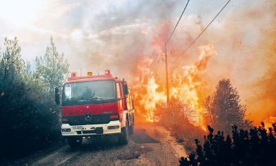 Υπό έλεγχο η πυρκαγιά στον Ταΰγετο, κατέστρεψε περί τα 60 στρέμματα 1