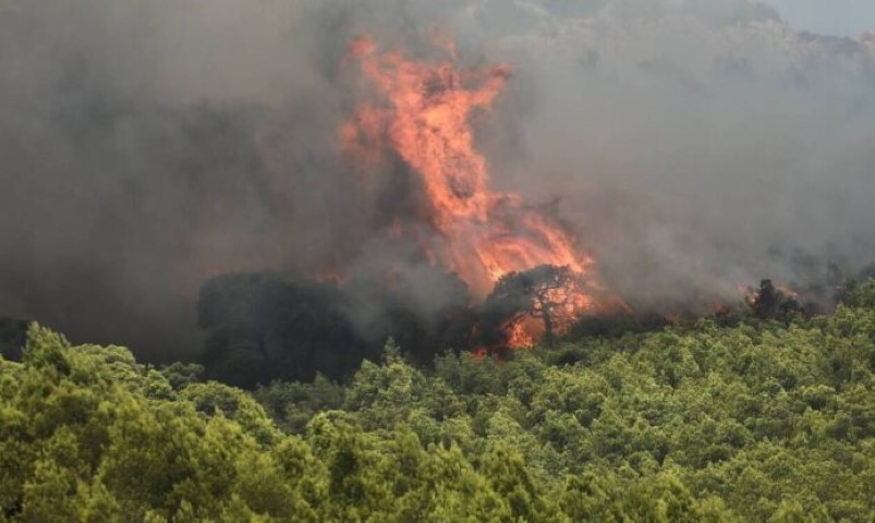 Φωτιά ξέσπασε στη περιοχή Νέδουσα Καλαμάτας 1