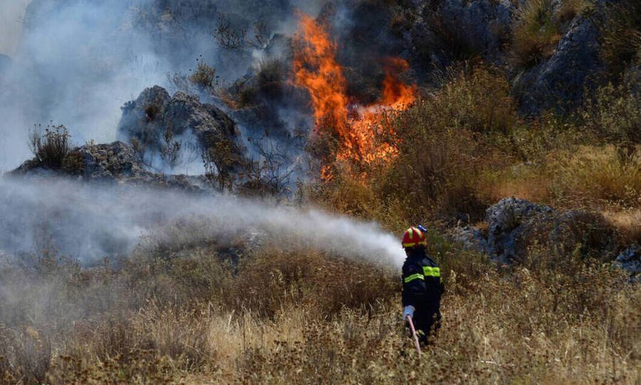 Απαγόρευση καύσης σε δασικές και αγροτικές εκτάσεις από τις 15 Απριλίου 2021 1