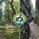 FOLOI TRAIL RUN 2020