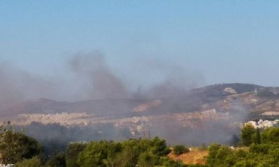 μεσσηνία: φωτιά στο πεταλίδι, προληπτική εκκένωση του οικισμού μαθία 28