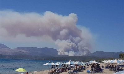 Φωτιά στη Μάνη - Εκκενώθηκαν πέντε οικισμοί - Βίντεο δείχνει την πύρινη κόλαση 31