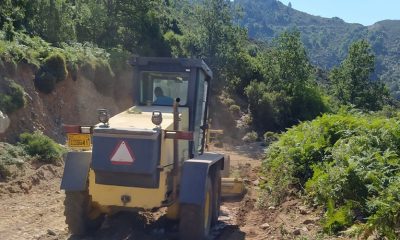 Μηλέα – Παναγία Γιάτρισσα