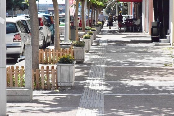 Τοποθέτηση ζαρντινιέρες με ανθόφυτα χρυσάνθεμα σε δρόμους της Καλαμάτας