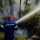 Πυρκαγιά στην περιοχή Ξερόκαμπος της Μεσσηνίας 31