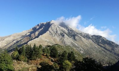 Τραγοβούνι Ταϋγέτου