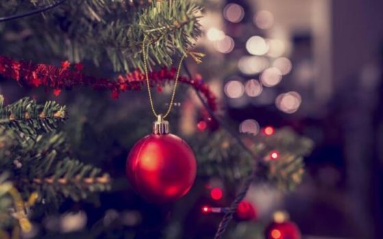 Παγώνη: Ξεχάστε ρεβεγιόν Χριστούγεννα και Πρωτοχρονιά – Αλλαγή χρονιάς μόνοι μας