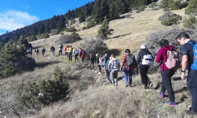 Πεζοπορική εξόρμηση στο μαγευτικό Μαίναλο οι φυσιολάτρες του Ευκλή Καλαμάτας 44