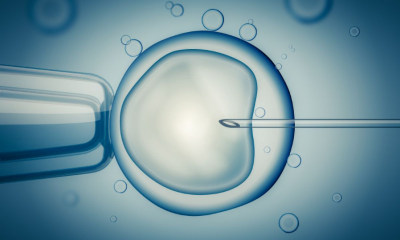 Μικρογονιμοποίηση και εμβρυομεταφορά: Η εξωσωματική γονιμοποίηση βήμα βήμα 1