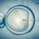 Μικρογονιμοποίηση και εμβρυομεταφορά: Η εξωσωματική γονιμοποίηση βήμα βήμα 2