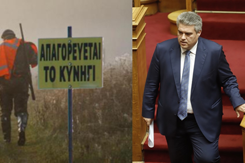 Αναθεώρηση της απαγόρευσης κυνηγιού ζητά ο Μίλτος Χρυσομάλλης 3