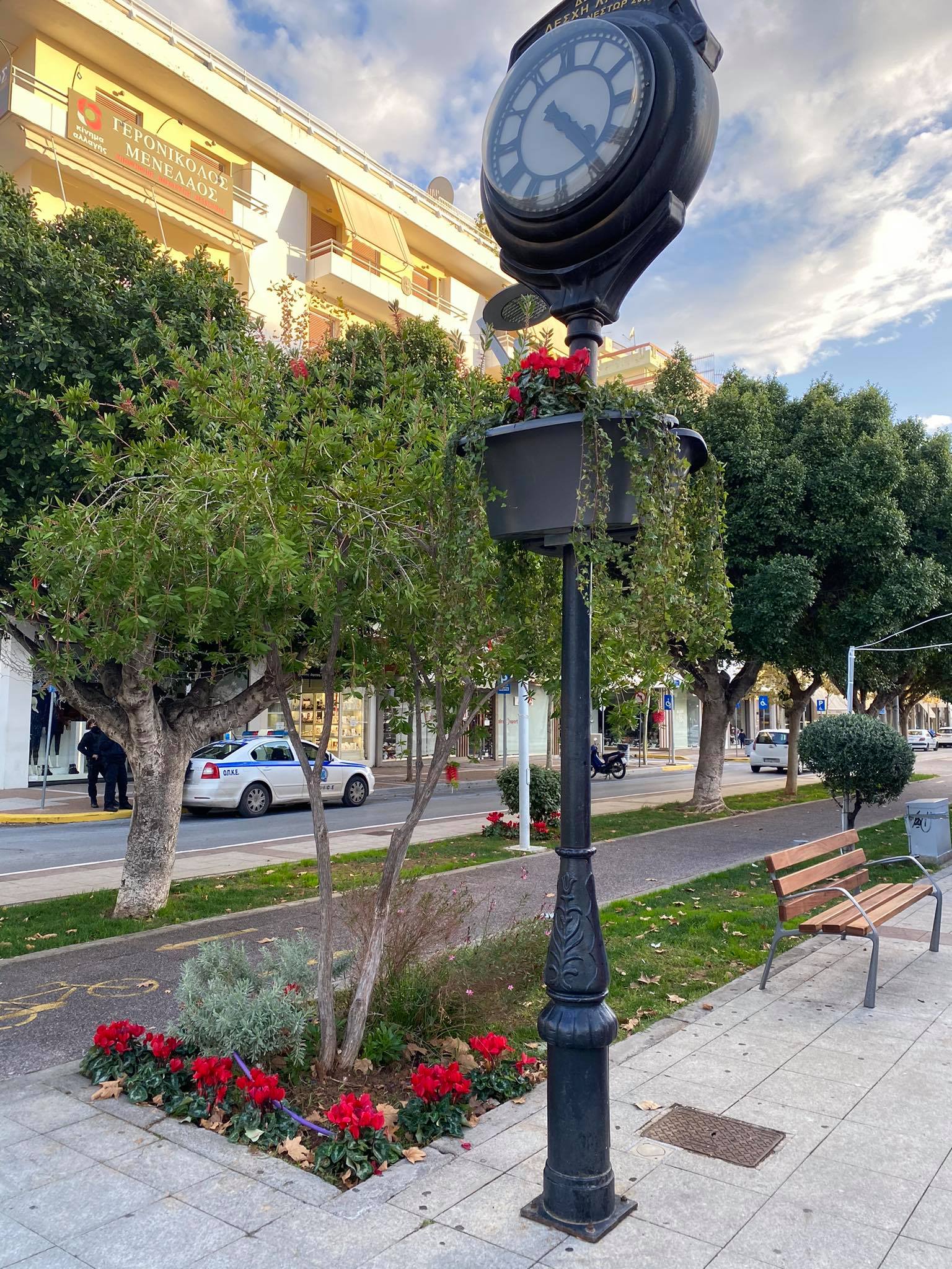 Αλεξανδρινά και κυκλάμινα φυτεύει σε κεντρικά σημεία του ο Δήμος Καλαμάτας 20 Αλεξανδρινά και κυκλάμινα φυτεύει σε κεντρικά σημεία του ο Δήμος Καλαμάτας 9