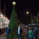 Φωταγωγήθηκε το Χριστουγεννιάτικο δέντρο στην Κεντρική Αγορά Καλαμάτας 2