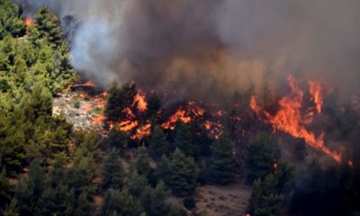 Πυρκαγιά εκδηλώθηκε το απόγευμά της Κυριακής στην Τριφυλία 28