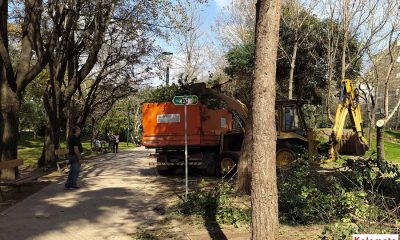 Καλαμάτα: Καθαρισμοί και έλεγχος αυτοφυούς βλάστησης σε πάρκα, αλσύλλια και κοινόχρηστους χώρους 5