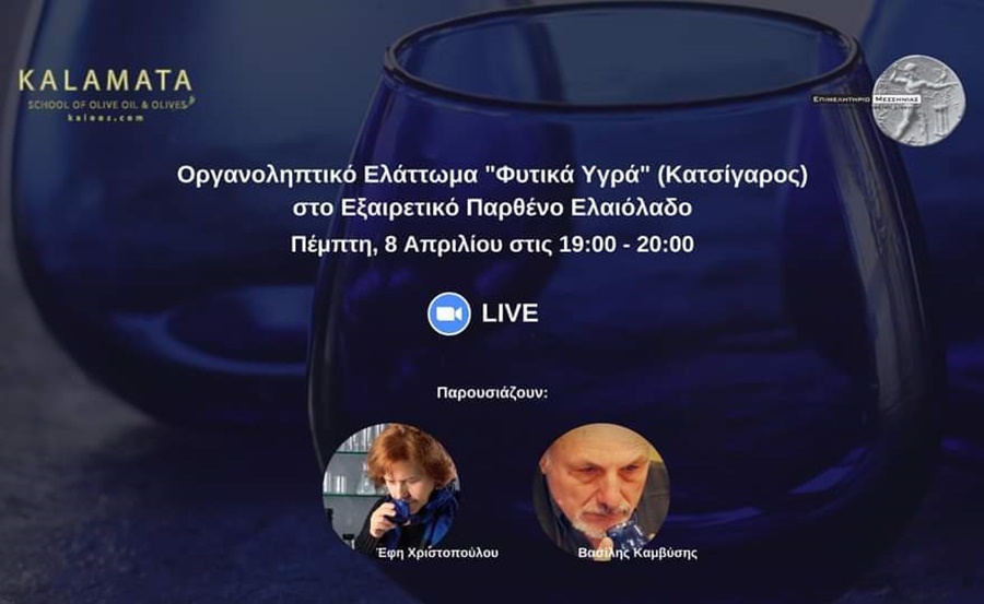 Διαδικτυακή ημερίδα από το Σχολείο Ελιάς & Ελαιολάδου σε συνεργασία με το Επιμελητήριο Μεσσηνίας 3
