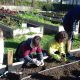 Συνεργασία με "Κήπο της Λυσούς" το 18ο Δημοτικό Σχολείο Καλαμάτας 4
