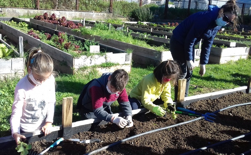 Συνεργασία με "Κήπο της Λυσούς" το 18ο Δημοτικό Σχολείο Καλαμάτας 7
