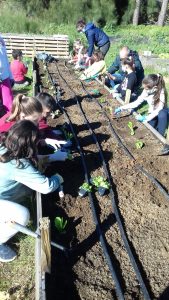 Συνεργασία με "Κήπο της Λυσούς" το 18ο Δημοτικό Σχολείο Καλαμάτας 9