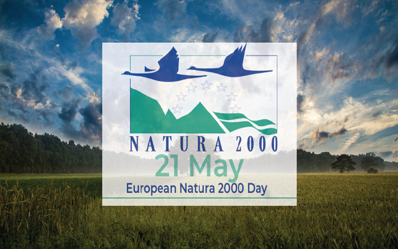 Στο φως το νέο μονοπάτι Μηναγιώτικο Natura 2000 5