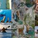 Η Περιφέρεια Πελοποννήσου καλωσορίζει το άνοιγμα της τουριστικής σεζόν με μια ξεχωριστή δράση 40