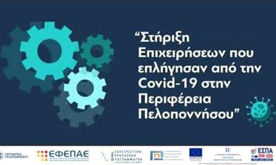 Τα κριτήρια επιλογής της δράσης «Ενίσχυσης κεφαλαίου κίνησης μικρών και πολύ μικρών επιχειρήσεων από την Περιφέρεια Πελοποννήσου» 5